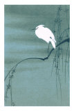 Egret on Branch Posters