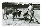 Conchita Cintron Killing Bull Posters