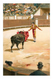 Matador with Muleta Photo