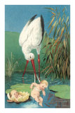 Stork in Marsh with Babies Posters