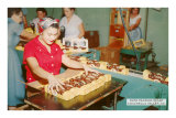 Date Packing, Coachella, California Posters
