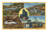 Gold Mining Scenes in California Posters