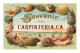 Shell Border Souvenir from Carpinteria Prints