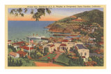 Avalon Bay, P.K. Wrigley Home, Santa Catalina Print
