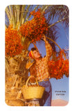 Picking Dates, California Prints