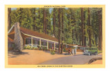 Big Trees Lodge, Mariposa Grove, Yosemite Poster