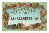 Shell Border Souvenir from San Clemente Prints