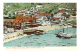 Avalon, Santa Catalina Posters