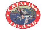 Woman Riding Flying Fish, Catalina Island Photo