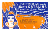 Ticket to Santa Catalina Poster