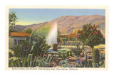 Cactus Garden, Palm Springs, California Affiches
