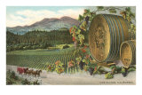 Vineyards, Los Olivos Prints