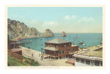 Tuna Club, Avalon, Santa Catalina Island Kunstdrucke
