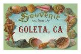 Shell Border Souvenir from Goleta, California Posters