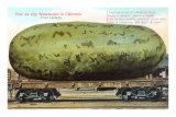 Giant Watermelon on Train Car, Anaheim Posters
