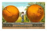 Carload of Mammoth Navel Oranges from California Prints
