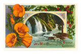 Season's Greetings from Topanga, California Posters Season's Greetings from Topanga, California Posters