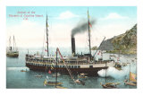 Steamer at Santa Catalina Photo