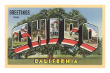 Large Letter Greetings from Chico, California Posters