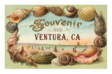 Souvenir from Ventura Prints
