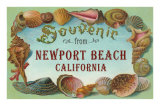 Shell Border Souvenir from Newport Beach, California Posters
