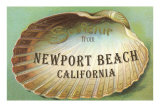 Clam Shell Souvenir from Newport Beach, California Poster