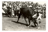 Steer Wrestling Poster