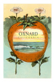Strawberry with Ocean Scene Inside, Oxnard, California Prints