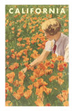 Woman Sitting in Poppies, California Posters