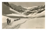 Cross Country Skiers in Bear Valley Posters Cross Country Skiers in Bear Valley Posters