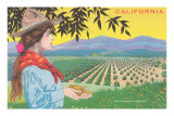 Woman Holding Almonds, California Posters