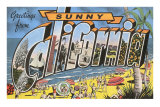 Greetings from Sunny California Beach Scene Posters
