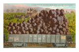 Carload of Grapes from San Luis Obispo County Prints