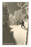 Cross Country Skier, Bear Valley Posters Cross Country Skier, Bear Valley Posters