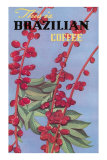 Brazilian Coffee, Beans Posters