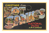 Grüße aus Hot Springs, Arkansas Poster