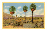 Vintage Rancho Mirage Kunstdrucke