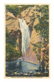 Tahquitz Waterfall, Palm Springs Posters