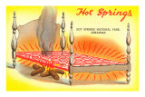 Cartoon Hot Springs, Arkansas Print