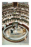 Babies in Circus Performance and Audience Posters