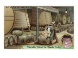 Wine Storage, Illustration Poster