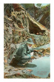 Old Prospector Panning for Gold Poster