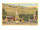 California Wine Country Prints