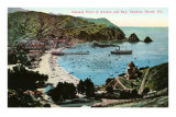 Avalon Bay, Catalina Island, California Prints