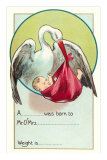 Stork Carrying Baby, Announcement Prints