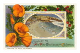 California Christmas, La Jolla Cove Print California Christmas, La Jolla Cove Print