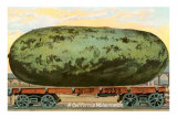 A California Watermelon, on Flatbed Train Car Print