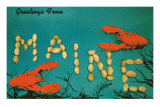 Greetings from Maine, Lobster Posters