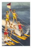 Man Carrying Skis Posters