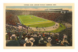 Harvard Stadium, Cambridge, Massachusetts Photo